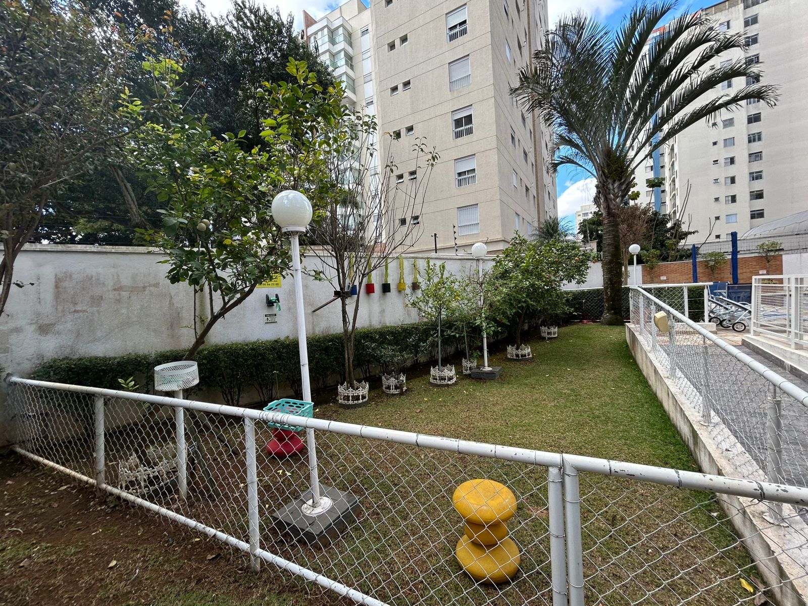 Imagem do WhatsApp de 2025-08-11 à(s) 12.44.58_24d6958d.jpg